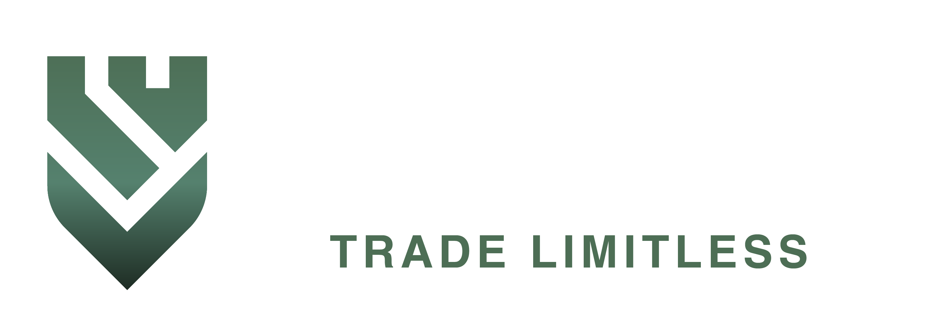 stonefort securities